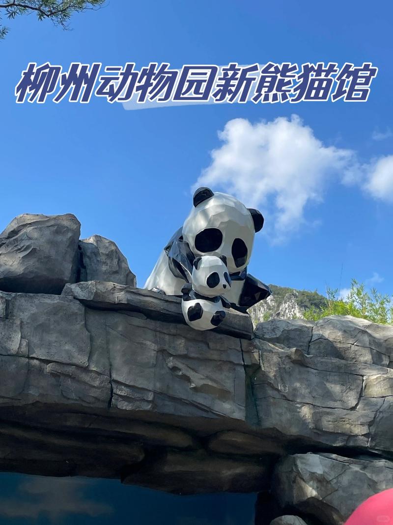 柳州动物园熊猫馆