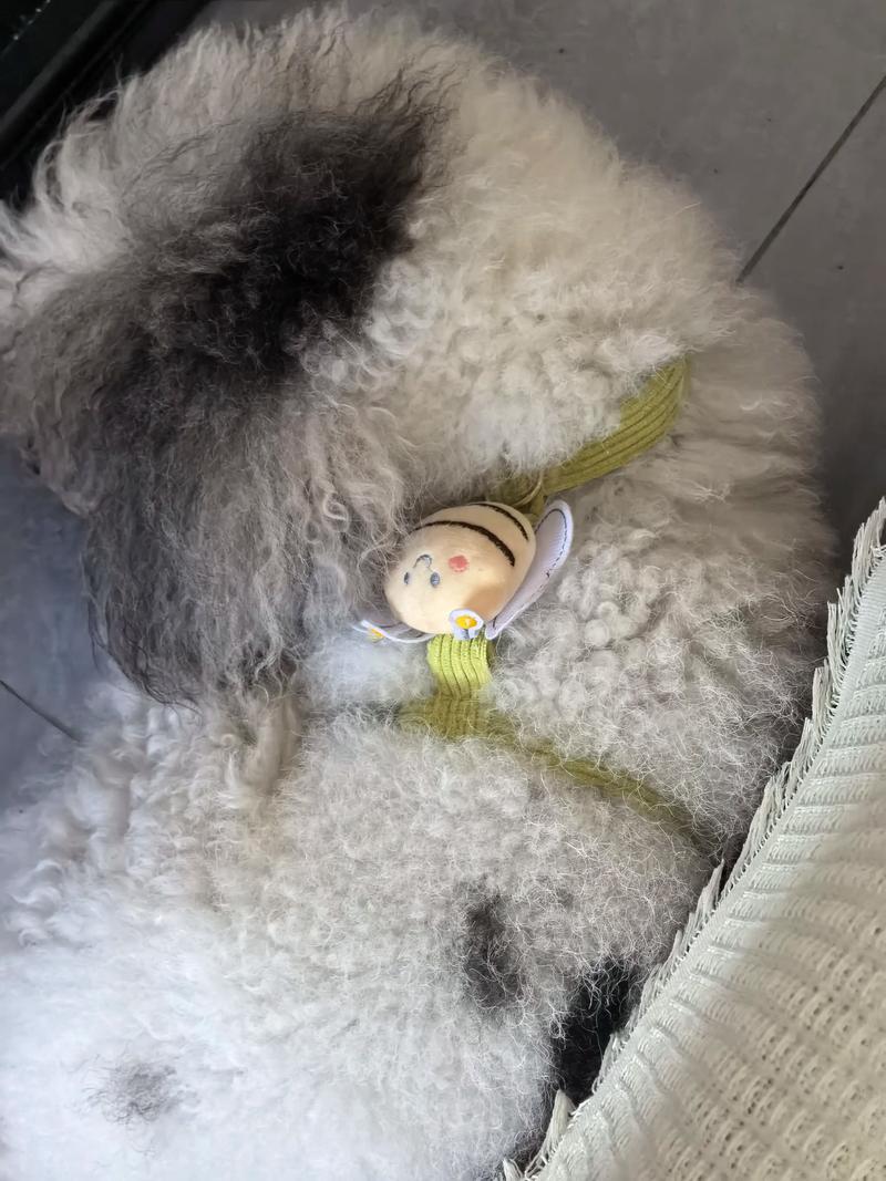 大人到底丢掉了什么?