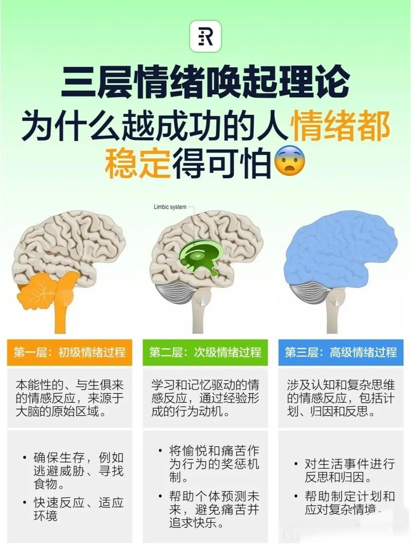 大脑情绪警报反应原理手绘示意图