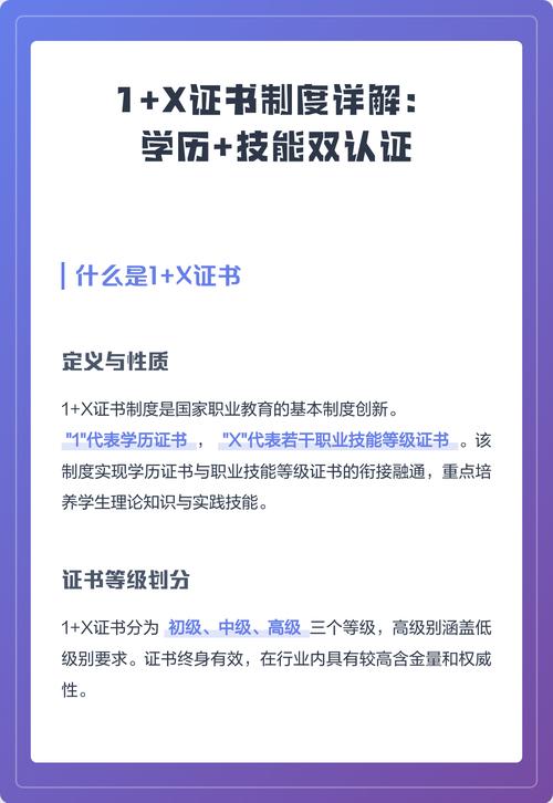1+X证书制度学历与技能等级关系图