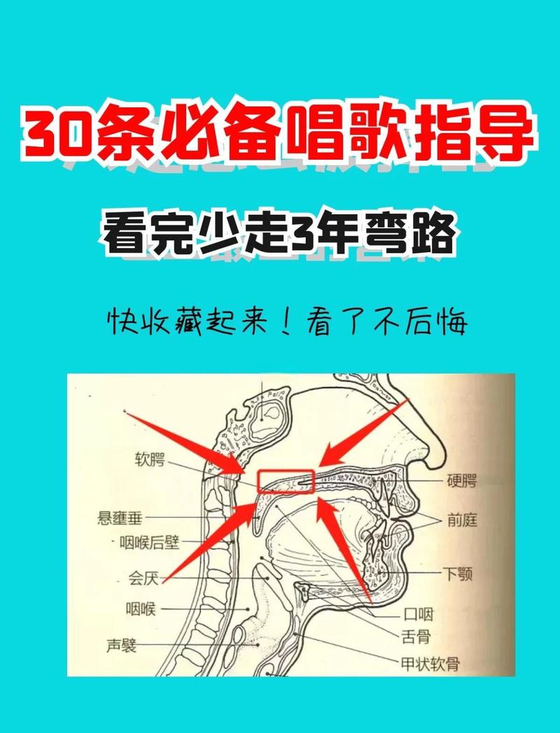 唱歌口腔咬字位置示意图