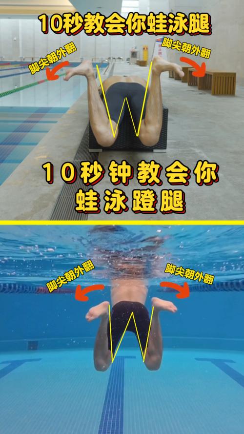 蛙泳窄膝蹬腿动作水下视角