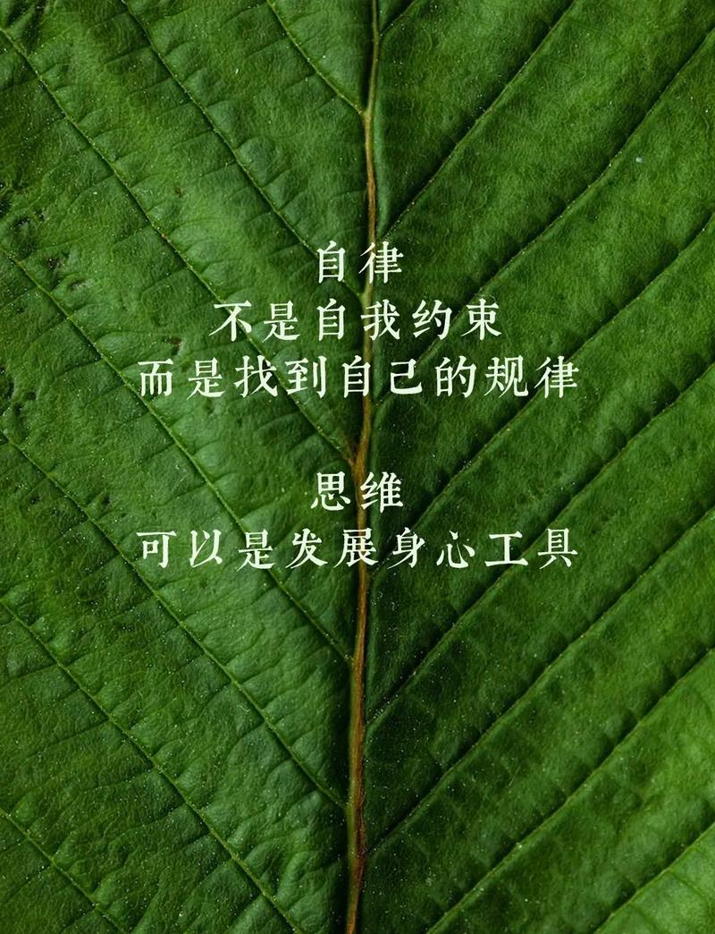 允许他失控,才是自律的开始