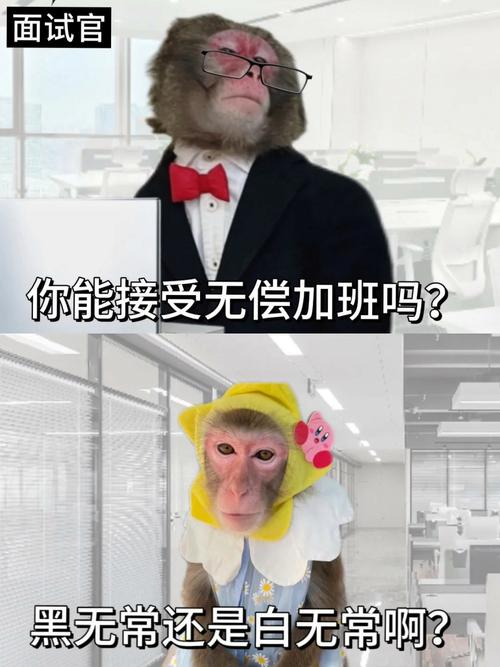 应届毕业生与HR面对面签劳动合同的场景,表情困惑