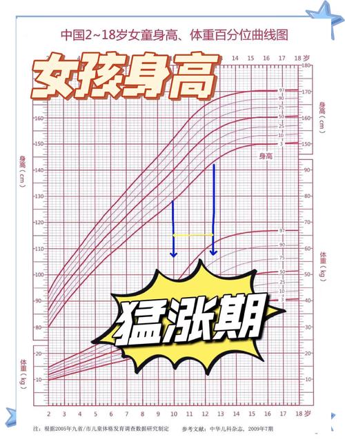 青春期女孩身高突增与身体变化示意图