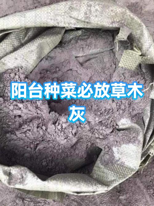 阳台盆栽旁堆放的晒干纯净草木灰