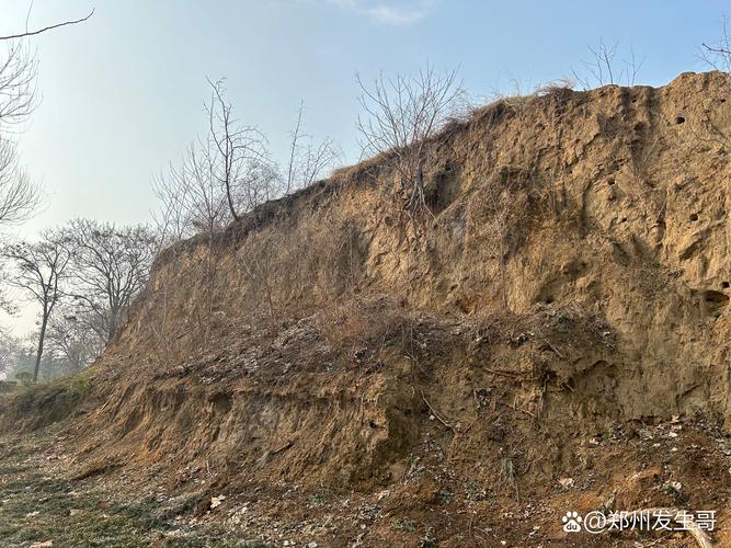 郑州商代城墙外露古夯土层痕迹
