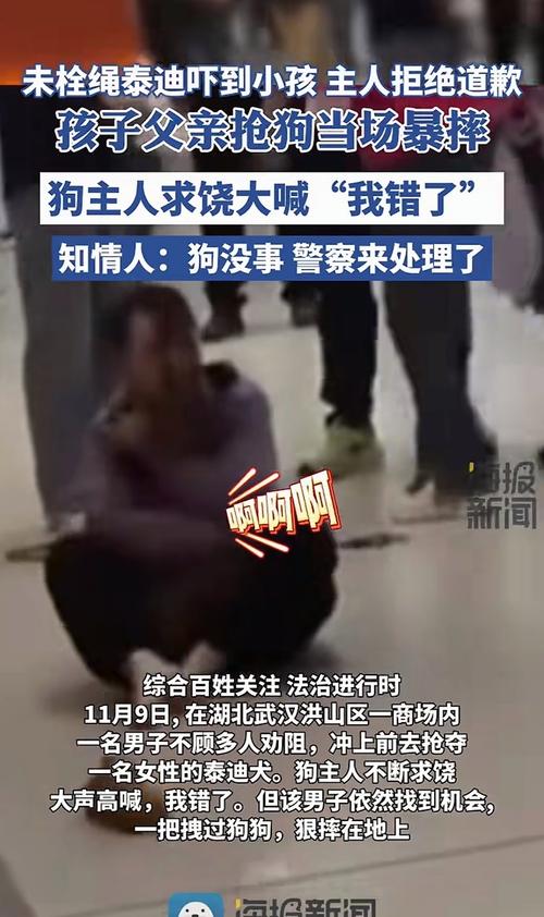小区内被未牵绳狗惊吓摔倒的饲养动物致害纠纷现场