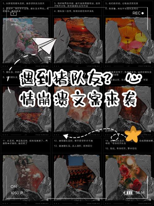 5. 群面时遇到猪队友怎么破?