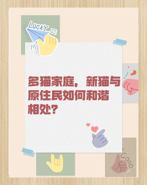 多宠家庭新成员隔离位置示意图
