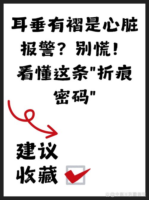 特别提醒，小白最容易折在这儿
