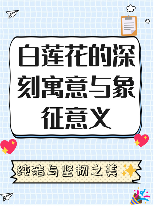 四、特别提醒：小白最容易中招的两个花瓶执念
