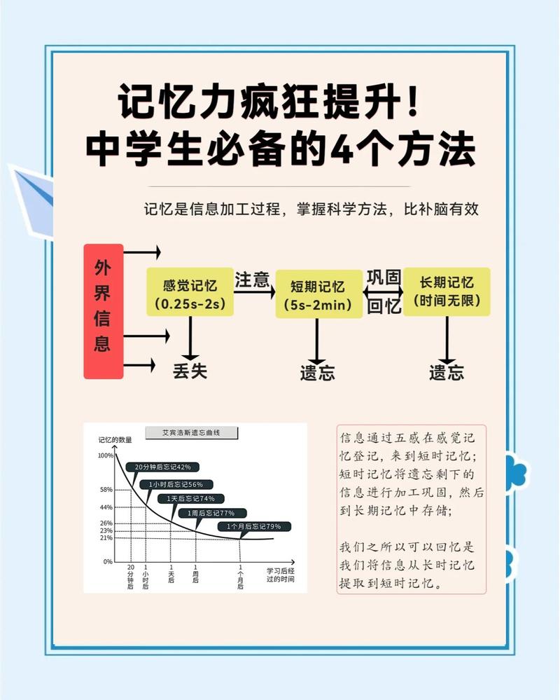 中小学课堂主动提取记忆训练设计示例