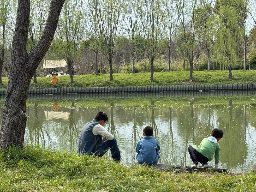 南漳鱼泉河春季游客河滩捞鱼场景