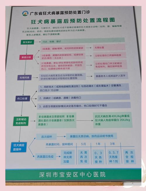 疫苗接种前后注意事项流程图