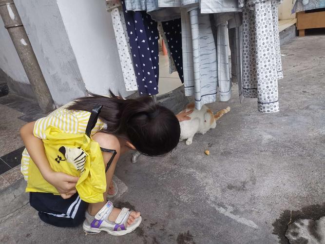 老小区楼下蹲在垃圾桶边喂流浪猫的小女孩背影