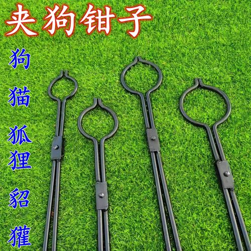 南京流浪动物救助站链上捐赠公示页面截图