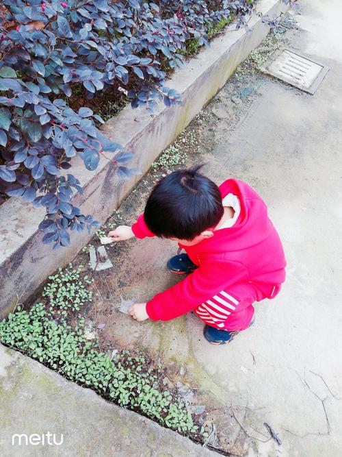 小区花坛边5岁男孩蹲地上看蚂蚁搬面包渣的日常场景