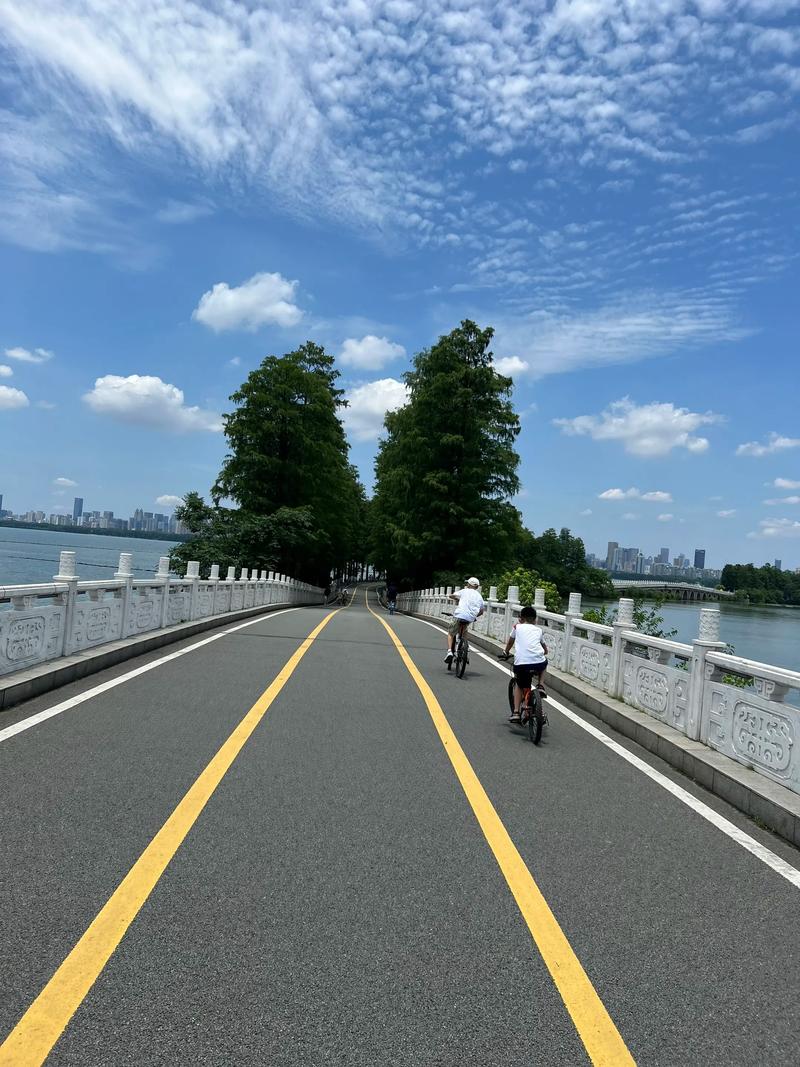 城市绿道实拍骑行美景