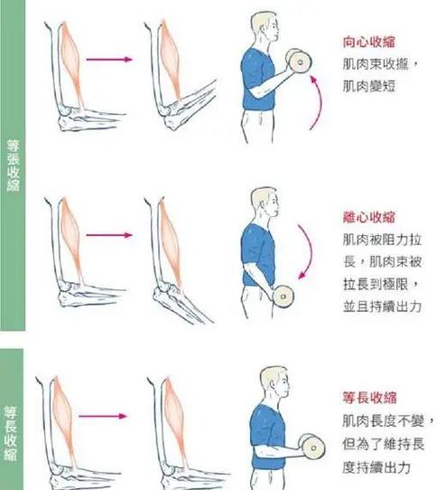 领导力如同肌肉训练，需要反复练习的场景示意图