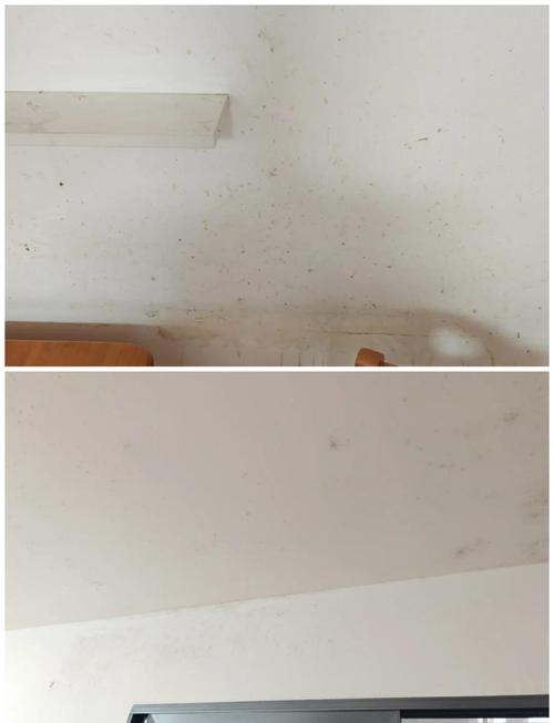 装修后墙面掉粉蹭脏白T恤实拍
