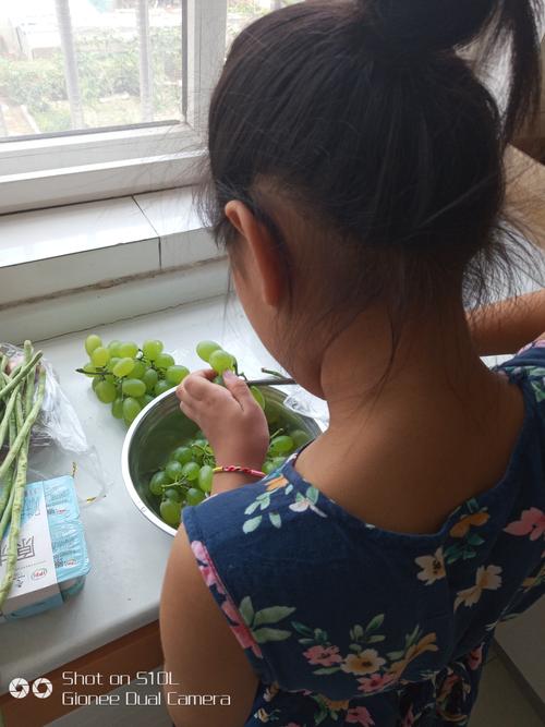 妈妈给房间里写作业的孩子送切好的葡萄特写