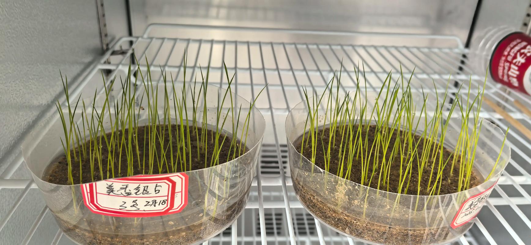 🌱 环保与验收