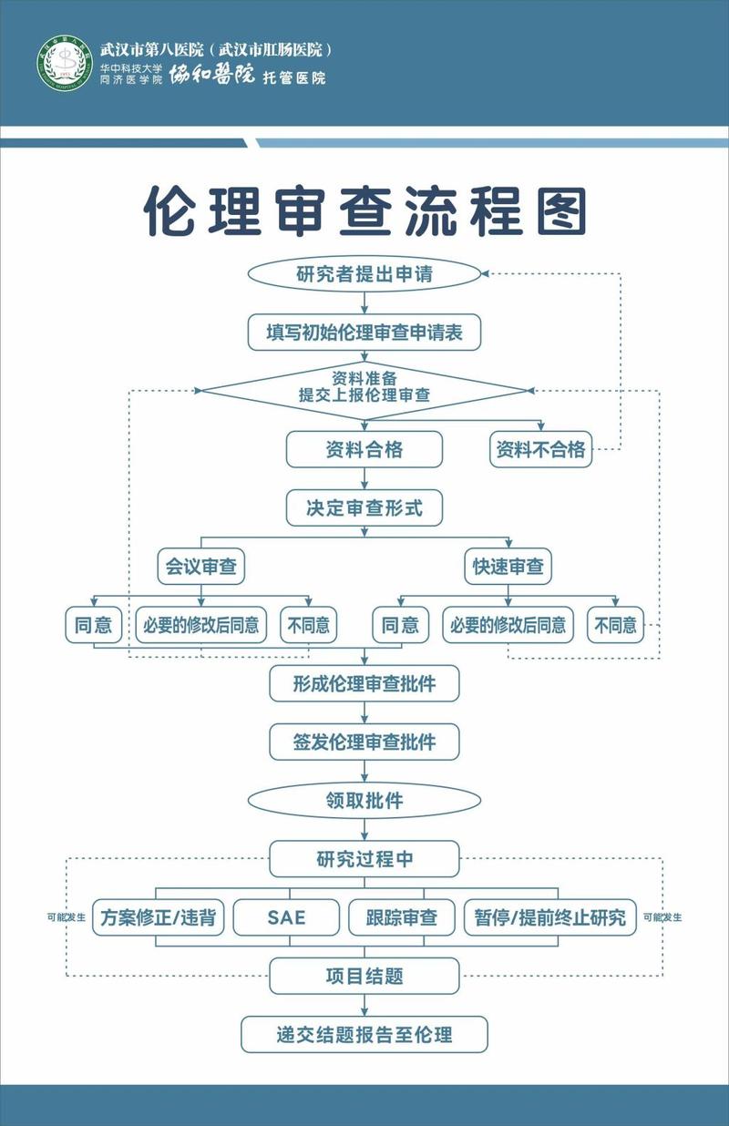 科研项目伦理审查审批流程图