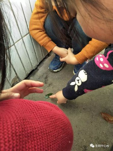 儿童蹲玄关地砖边看西瓜虫晨间场景