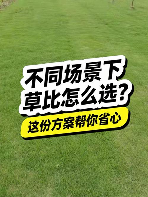 不同场景怎么选，照着拿方案就行