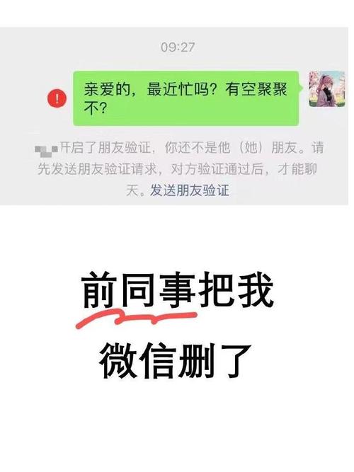 企微好友群发广告被用户删除的聊天截图