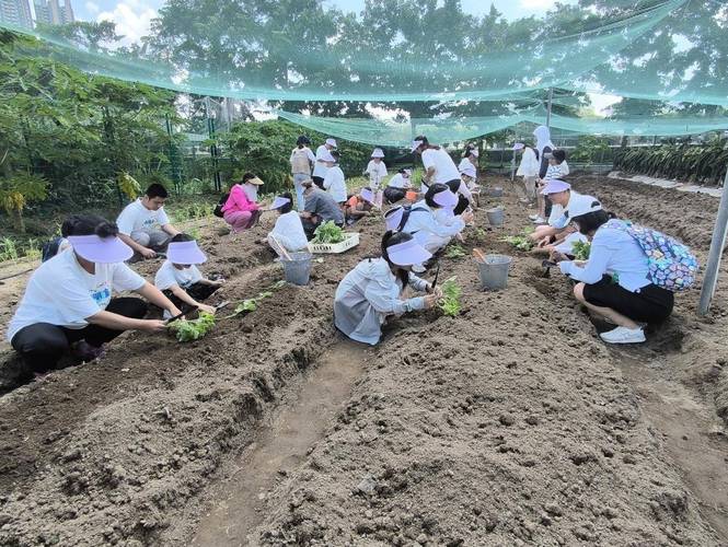 工业园区职工子女种植自然教育活动实拍