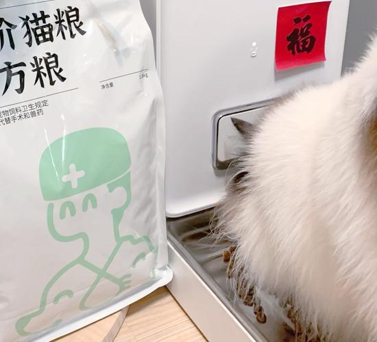 宠物医院诊室里主人抱猫展示处方粮袋的实拍图
