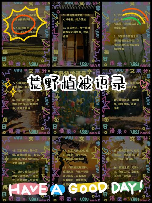 植物猎人和野花盲区：我们到底在保护什么
