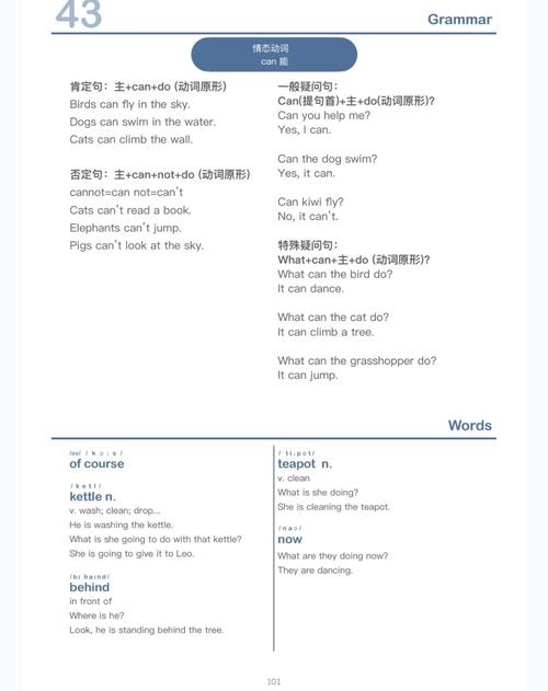 小学英语课堂作业本手写can造句实拍