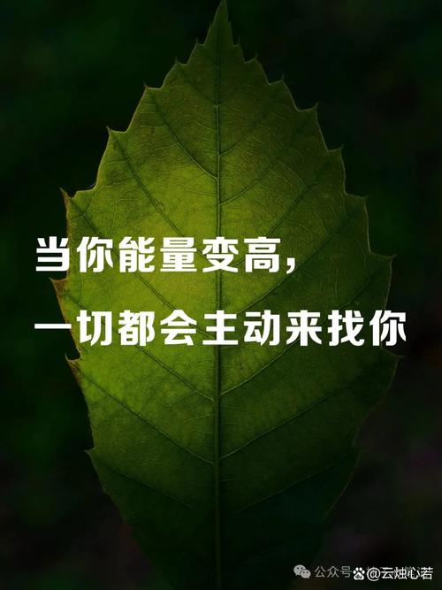 那股推着你站起来的力量