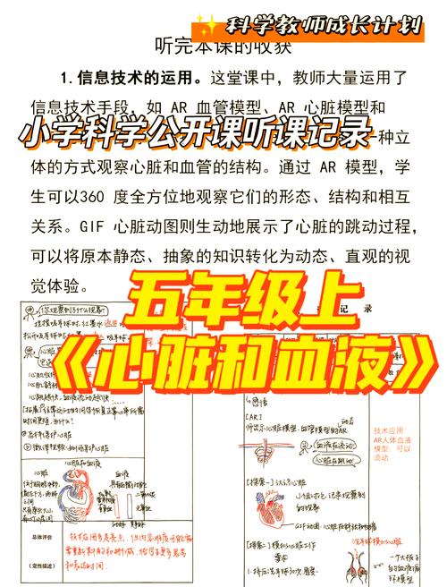科学部分:STEM学生的定心丸还是绊脚石?