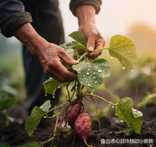 产业化绕不开的死结：测不准也控不住