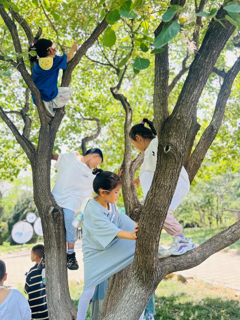 森林幼儿园孩子爬树户外探索