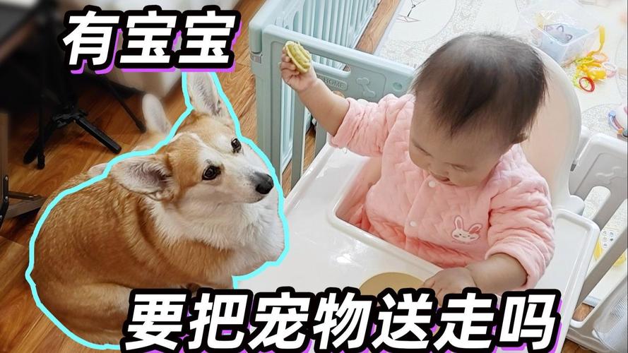 刚出生的娃，就得把宠物送走？