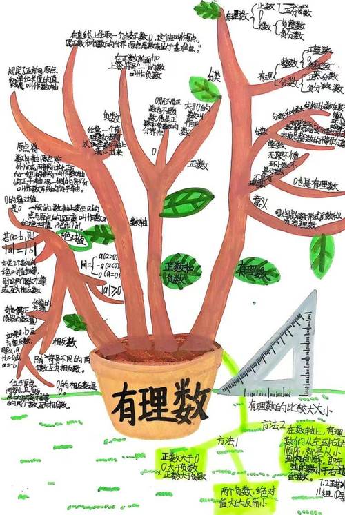 初中生手绘花里胡哨学科思维导图
