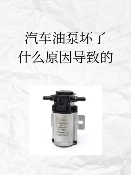 干泵还是油泵？这不是信仰问题