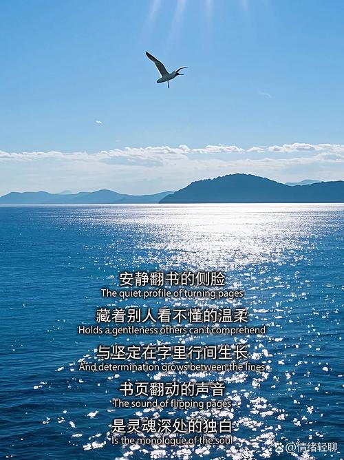 温柔从来不是做给别人看的