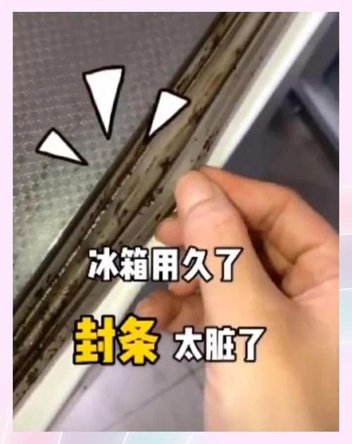 冰箱门封条发霉清理前后细节对比