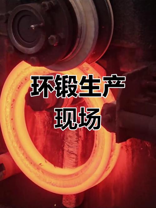 环锻工艺有限元仿真变形云图