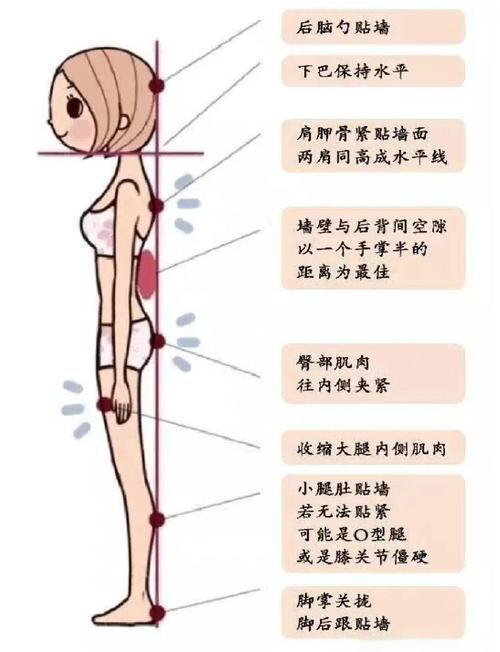 正确墙根贴站立位示范图