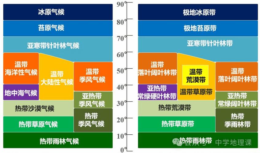不同气候类型对应的典型植被分布示意图