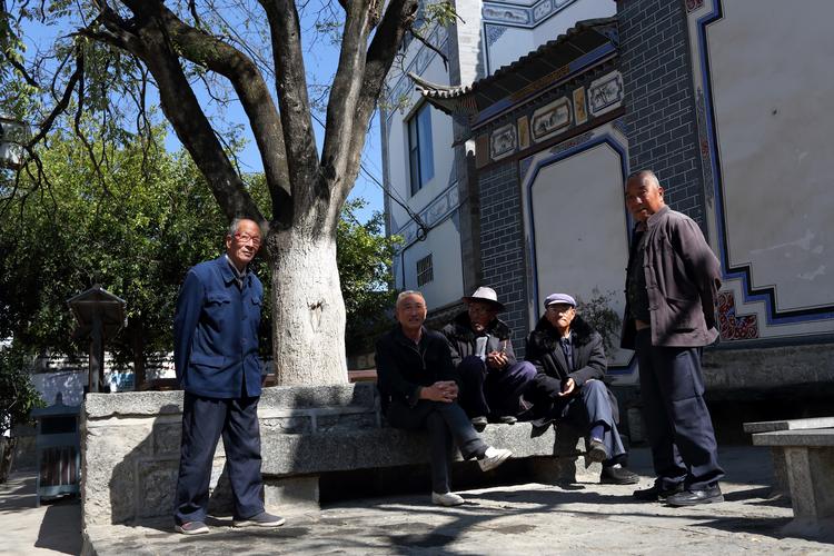 北京老胡同口大槐树下老人围坐马扎聊天场景