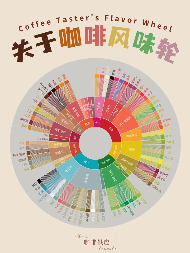 咖啡品鉴师对比风味轮和咖啡液颜色