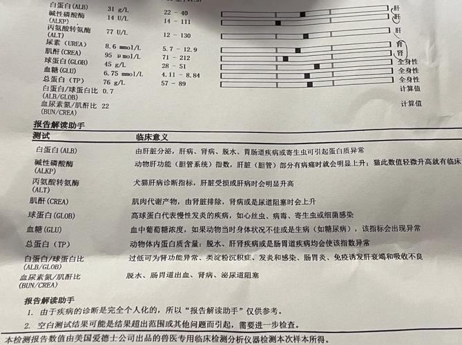 狗狗误食墙皮后呕吐的就医记录单